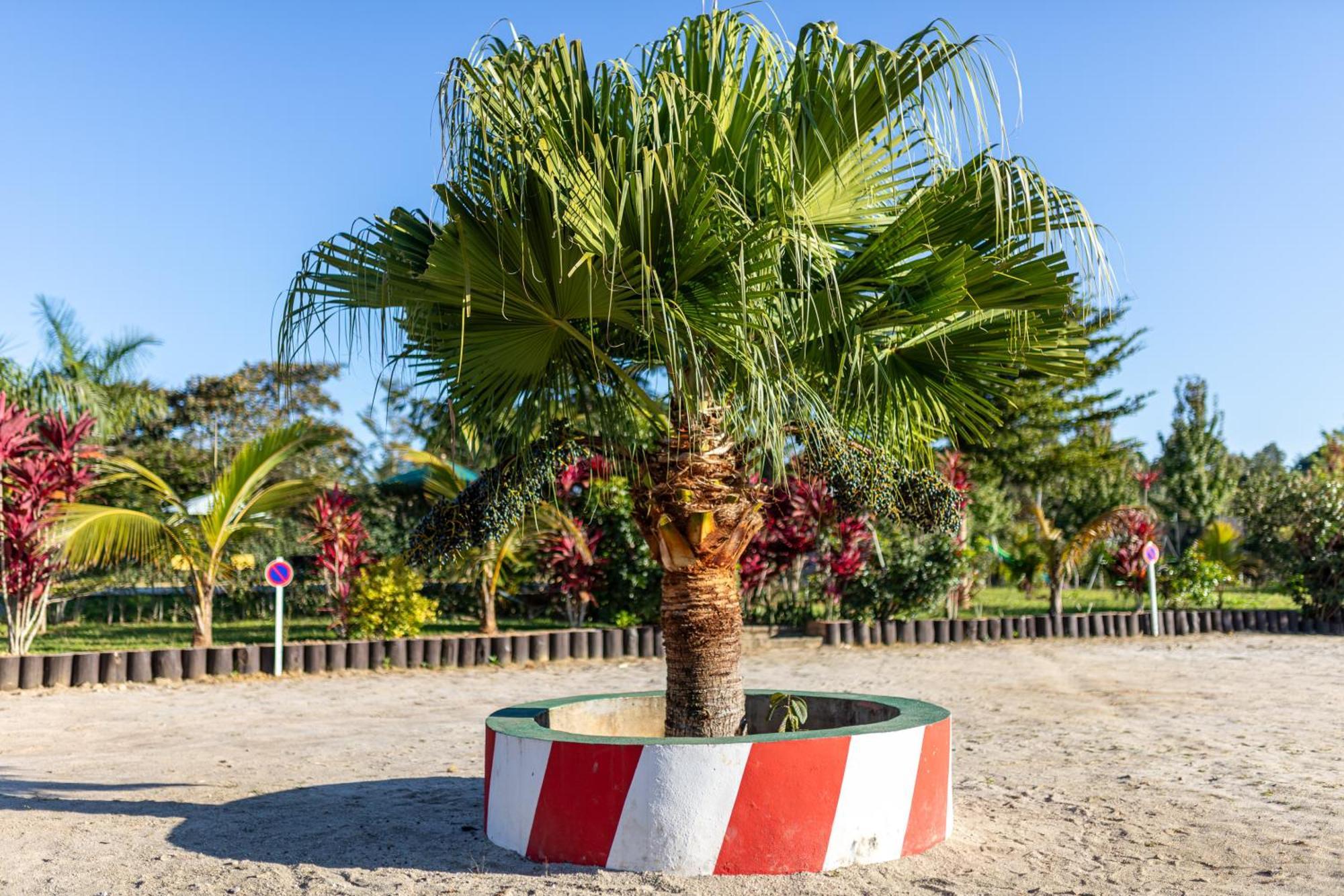 Andasibe Lemurs Lodge Bagian luar foto
